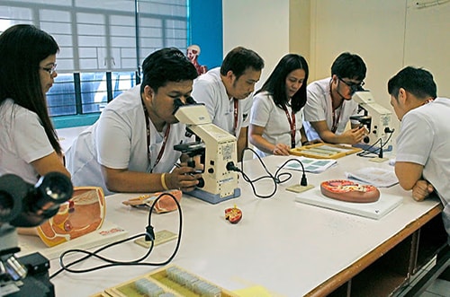 Ama school of medicine