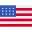 USA Flag